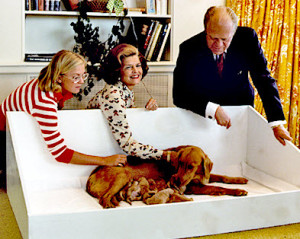 Susan, Betty und Präsident Gerald Ford mit Liberty und ihren Welpen im Weißen Haus 1975