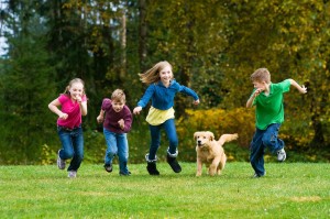 Kinderlieb Golden Retriever