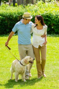 Wesen Golden Retriever