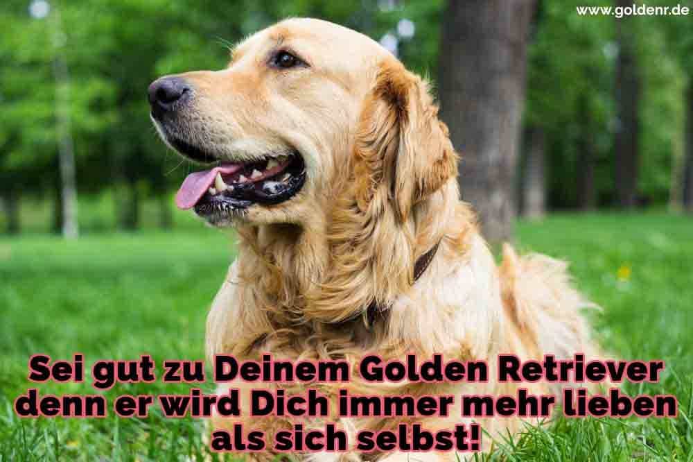 Gute Nacht Bilder Fur Whatsapp 24 Romantische Und Lustige Bilder