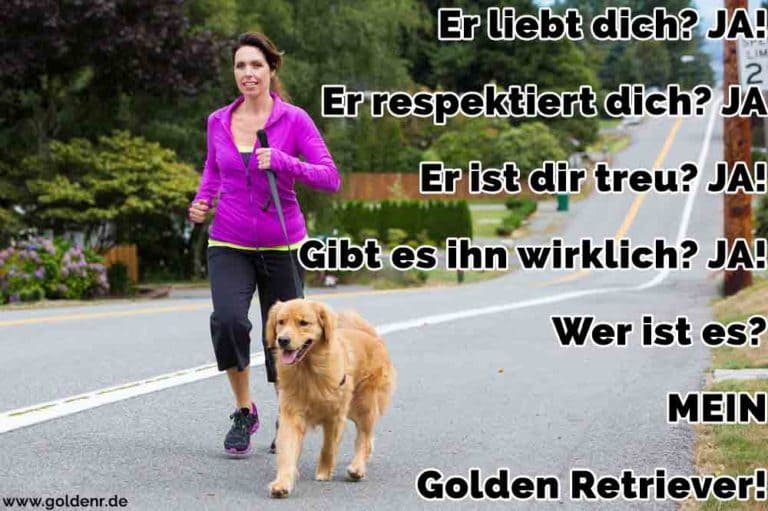 Golden Retriever Zitate und Sprüche GoldenR.de