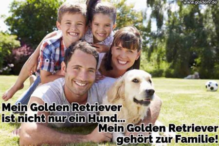 Golden Retriever Zitate und Sprüche GoldenR.de