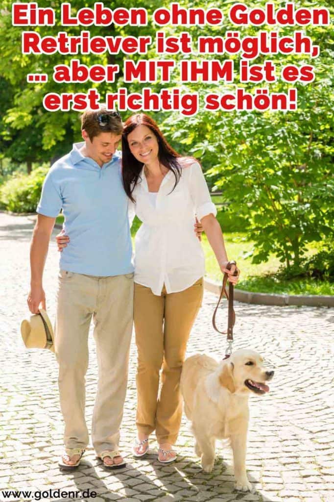 Golden Retriever Zitate und Sprüche GoldenR.de