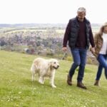 Wie oft muss ein Golden Retriever raus?