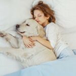 Darf ein Golden Retriever ins Bett?