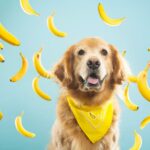 Dürfen Golden Retriever Obst essen?