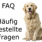 Golden Retriever FAQ