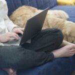 Ist ein Golden Retriever für Berufstätige geeignet?