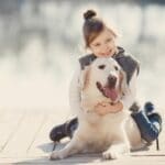 Wo gibt es Golden Retriever zu verschenken?