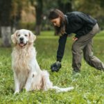 Wie oft hat ein Golden Retriever Stuhlgang?