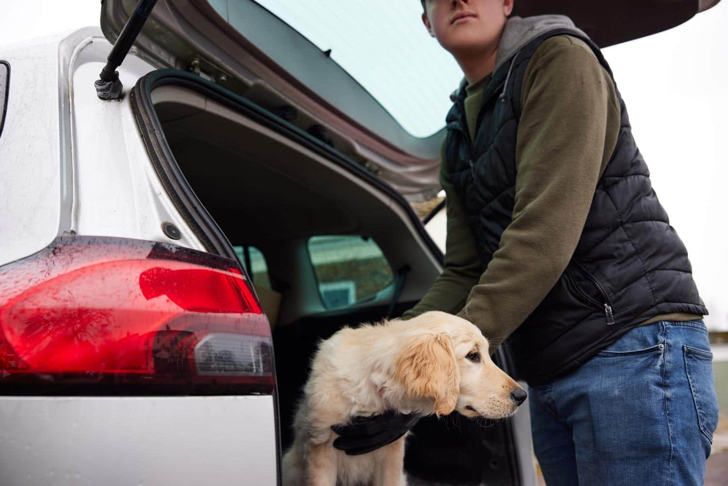 Universal Hunde Sicherheitsgurt fürs Auto - passend für alle