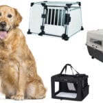Welches ist die passende Hundebox für meinen Golden Retriever?