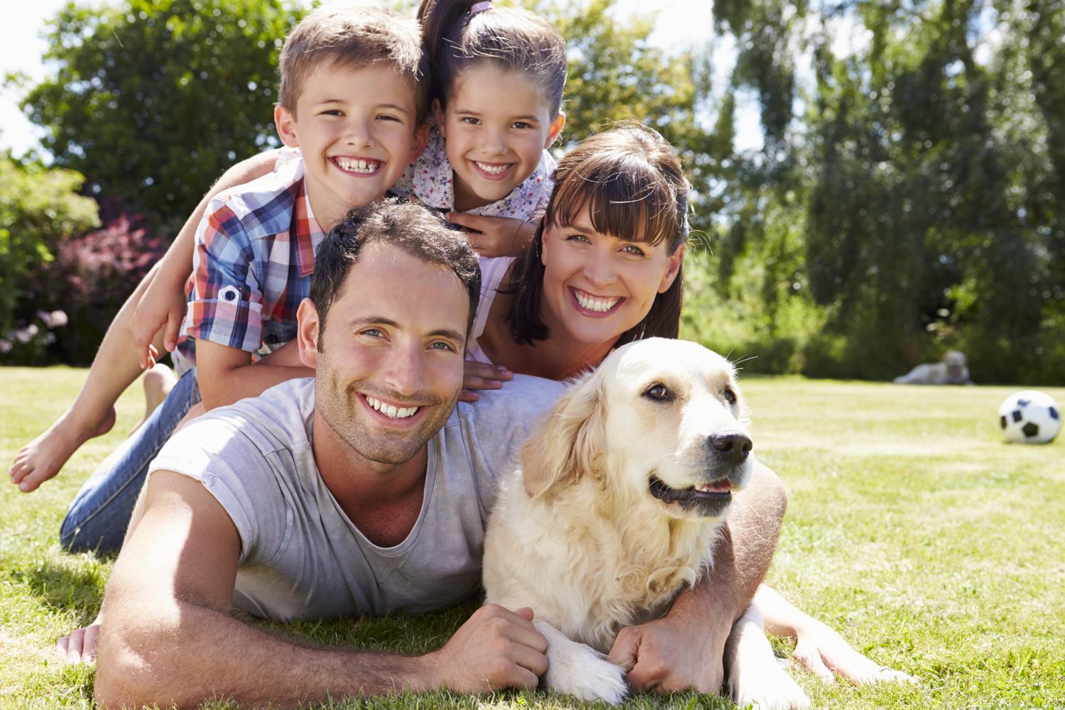 Ist ein Golden Retriever als Familienhund geeignet?