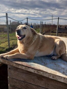 Miniaturansicht für das Anzeigenbild