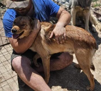 Carol - geb. 11/2021