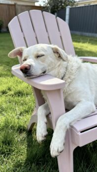 Miniaturansicht für das Anzeigenbild