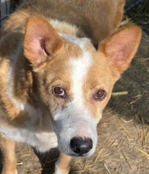 Miniaturansicht für das Anzeigenbild