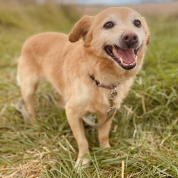 Miniaturansicht für das Anzeigenbild