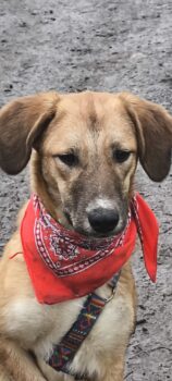 Miniaturansicht für das Anzeigenbild