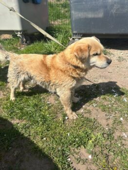 Miniaturansicht für das Anzeigenbild