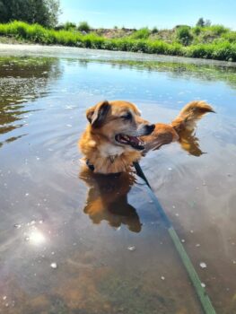 Miniaturansicht für das Anzeigenbild